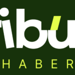 Tribün Haber